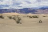 Mequite Flat Sand Dunes_900.jpg