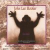 John-Lee-Hooker-The-Healer-521745.jpg