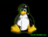 linux_futile2.png