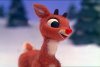 rudolph-the-red-nose-reindeer.jpg
