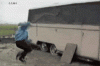 funny-kid-fight-with-chicken-g-4553.gif