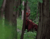 4A5EC3F2-86F1-438E-B1F4-A970246F6C25.gif