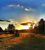 beautiful-sunset-on-the-fields-of-milledgeville-georgia-usa--18141.jpg