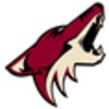 arizona-coyotes.png