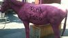 pink-taco-pink-donkey-2.0.jpg