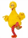 Big-Bird-transgender-transexual-gay-sesame-street.jpg