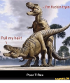 pull-my-hair-im-fuckin-tryin-poor-trex-ifunny-co-14016709.png