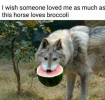 1623106933517.png