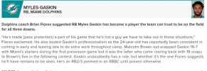 gaskin.png