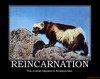 reincarnation-buckeye-ohio-state-michigan-wolverine-demotivational-poster-1247679829.jpg