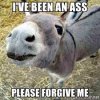 I've been an ass please forgive me - Assumptions Donkey | Meme Generator