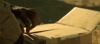 bd498d3d7c6c3e6e4141283a09e90f2329cfa76e.gif