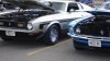 Mustangs 001.jpg