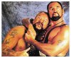 Bushwhackers.jpg