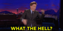giphy (4).gif