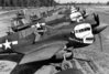 80th-fg-skullhead-p-40-warhawks-out-of-burma-1944.jpg