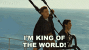 1675048141505.gif