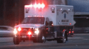 1679459848719.gif