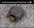 1684809857785.gif