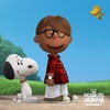 peanuts-pi-2b96d8ee5566b475ae1d258d66b9444b-4da6acbd37.jpg