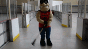 1685932587990.gif