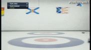 giphy (1).gif