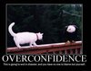Overconfidence_66bee5_244403.jpg