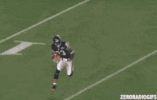 devin-hester-football.gif