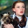 DOROTHY AND TOTO.jpg