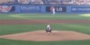 3-tillman-the-bulldog-first-pitch-dodgers-game-amazing-first-pitch-gifs.gif