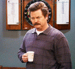 ron-swanson-notamused.gif