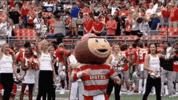 brutus-buckeye.gif