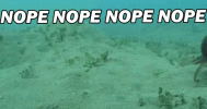 Nope-GIF.gif
