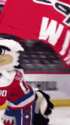 caps1.gif