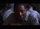 IMG_8029.gif