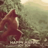 imagegif_0.gif
