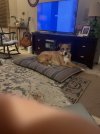 IMG_5095.jpeg