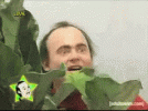 hiding in the bush.gif