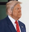 1746685022148.png