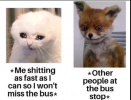 1746724492024.png