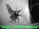 2Bai4Gc.gif