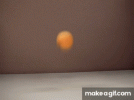 pingpong.gif