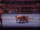 midget-party.gif