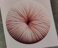 1748020943072.png