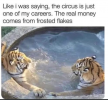 1748024739225.png