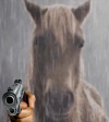 1748282442581.png