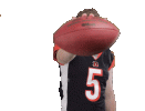 giphy[1].gif