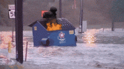 1748583966205.gif