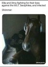 1749746183752.png