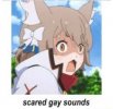 Unknown.jpeg